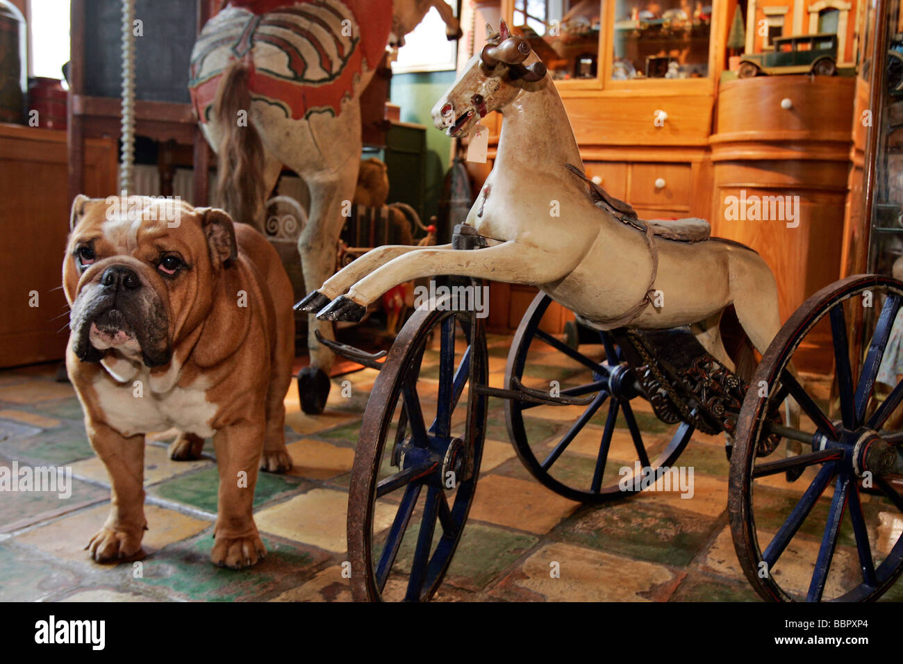 ANTIQUE TOY STORE, 'COUZIJN SIMON', AMSTERDAM, NETHERLANDS Stock Photo