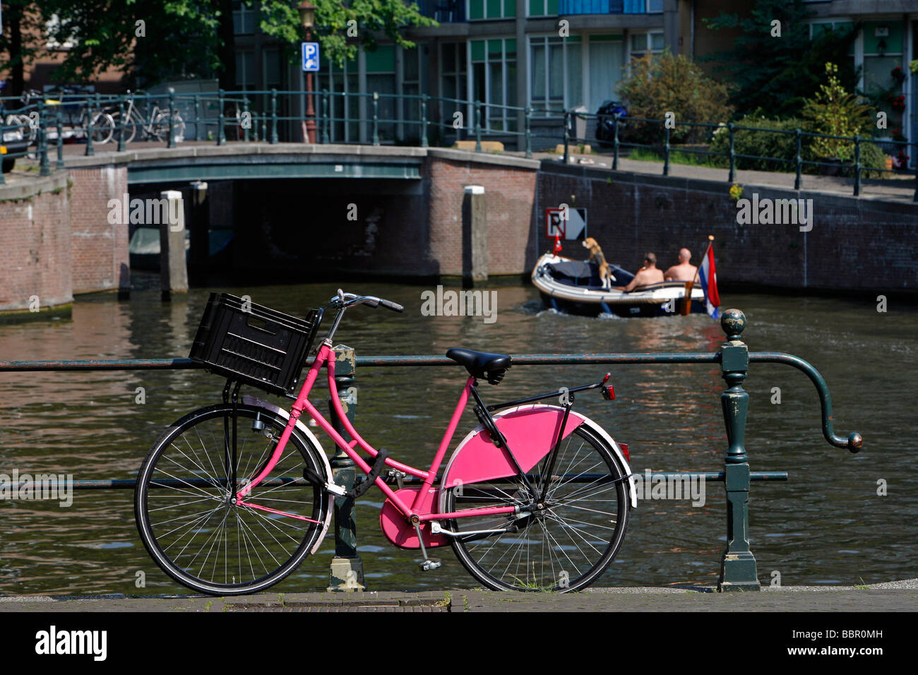 Pink hotsell dutch bike