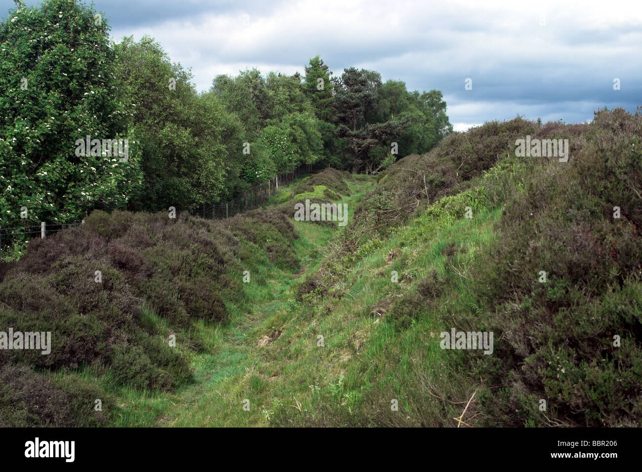 Protective ditch and embankments at Cawthorne Roman Camps. Yorkshire