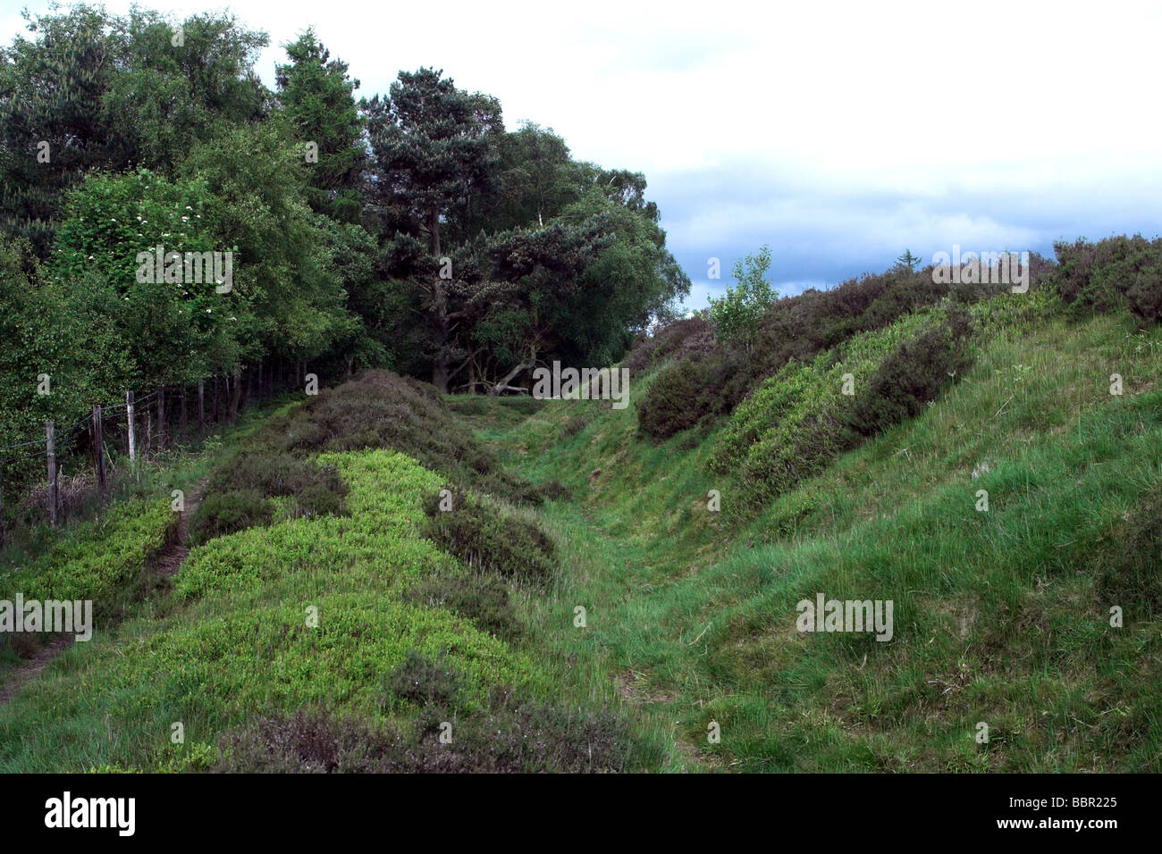 Protective ditch and embankments at Cawthorne Roman Camps. Yorkshire. Stock Photo