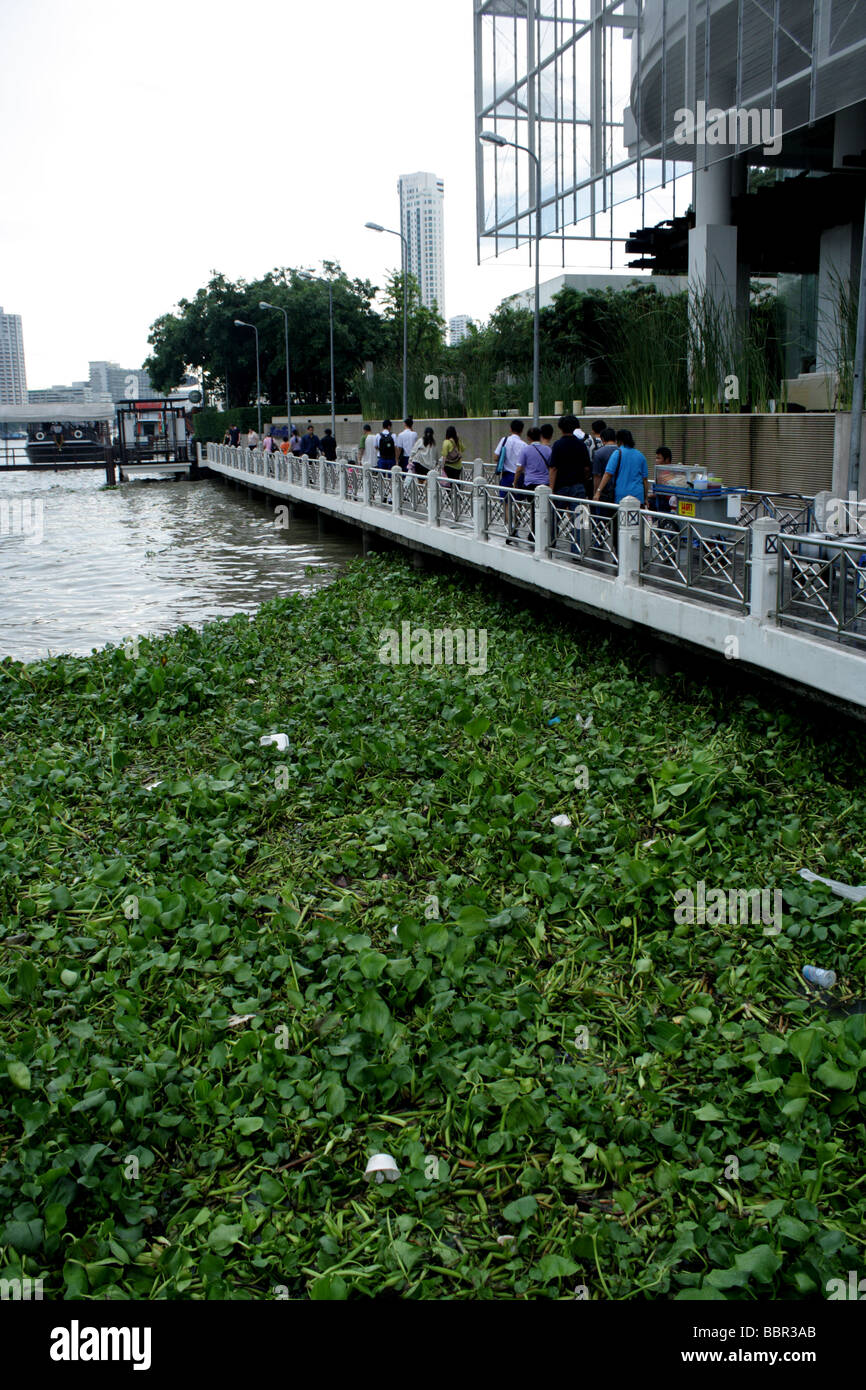 Chao Phraya river , Bangkok , Thailand Stock Photo
