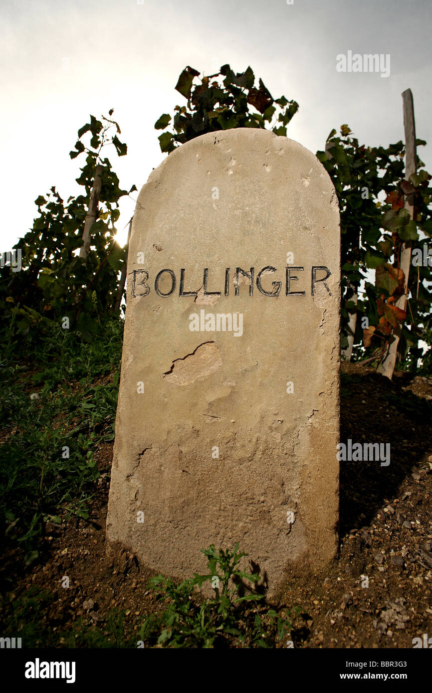 STONE MARKERS FROM THE VINEYARDS OF THE GREAT CHAMPAGNE MAKERS, BOLLINGER, MARNE (51) Stock Photo