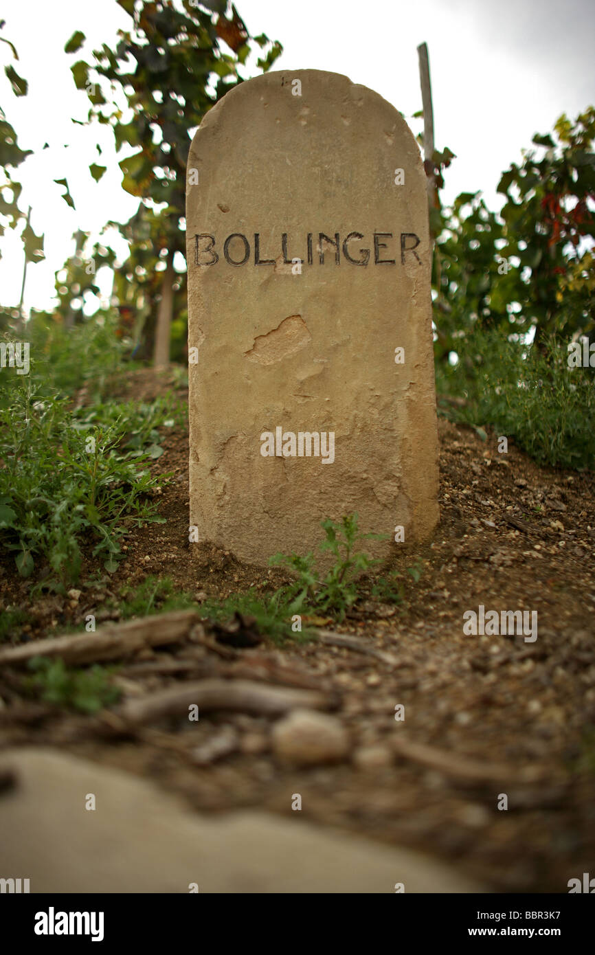 STONE MARKERS FROM THE VINEYARDS OF THE GREAT CHAMPAGNE MAKERS, BOLLINGER, MARNE (51) Stock Photo