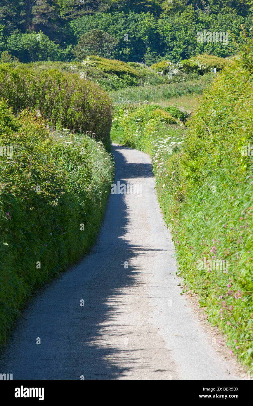 A narrow lane above lee Bay on the North Devon Coast UK Stock Photo Alamy