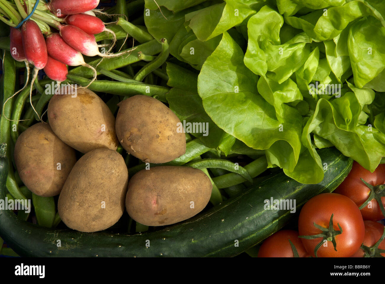 Fresh organic vegetable box Stock Photo