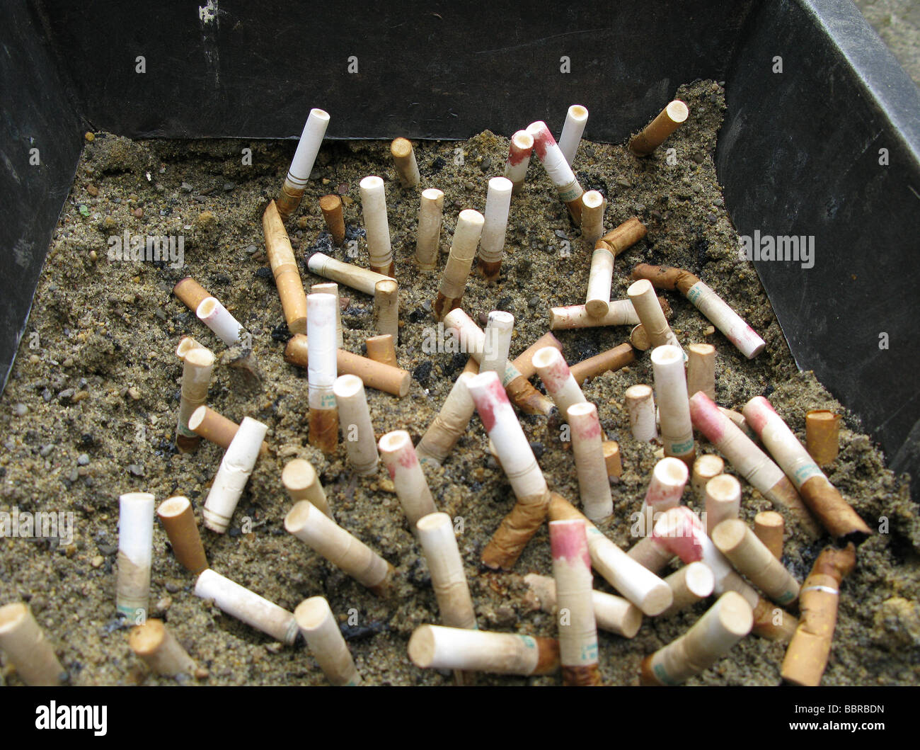a large amount of cigarette butts stubbed out in a communal ashtray Stock Photo