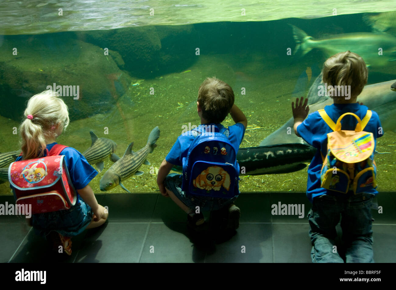 Young Children At The Aquarium In The Berlin Zoological Garden