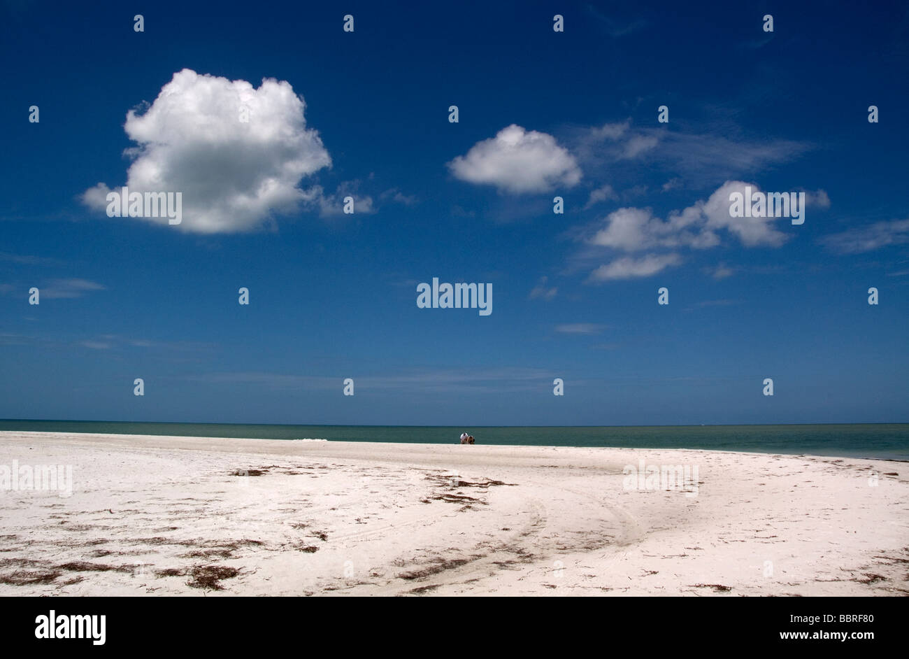 Fort De Soto Park North Beach Florida USA Stock Photo Alamy