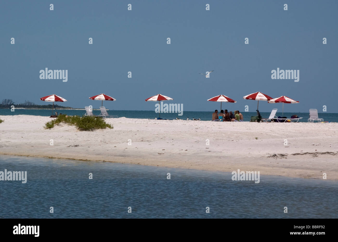 Fort De Soto Park North Beach Florida USA Stock Photo Alamy