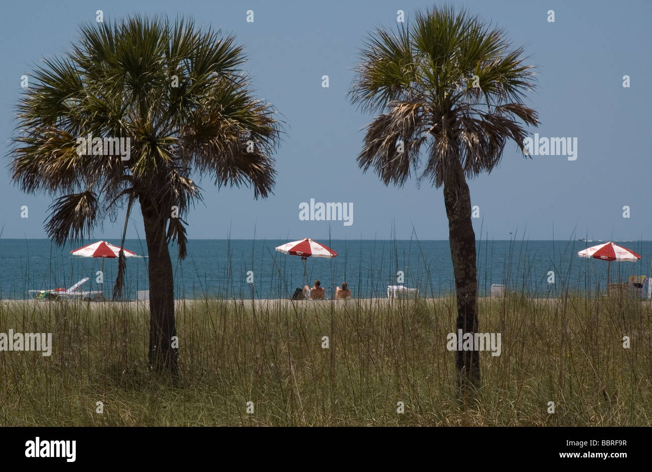 Fort De Soto Park North Beach Florida USA Stock Photo Alamy