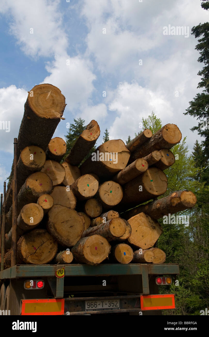 A truck carrying pile of trunks of a cut trees in a motorway in Republika Srpska, an entity of Bosnia and Herzegovina Stock Photo