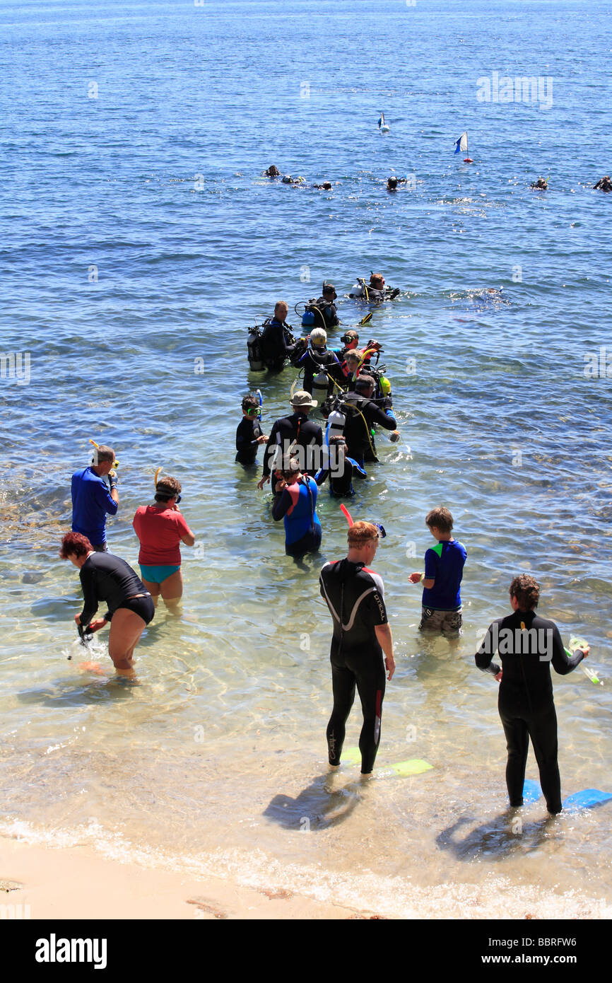 scuba divers and snorkellers entering the water at the popular Fly