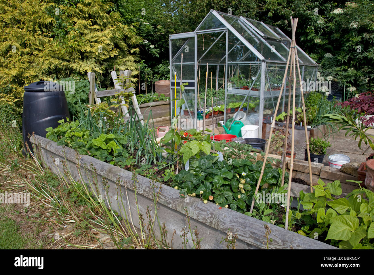 Productive vegetable plot with raised bed greenhouse and compost bin