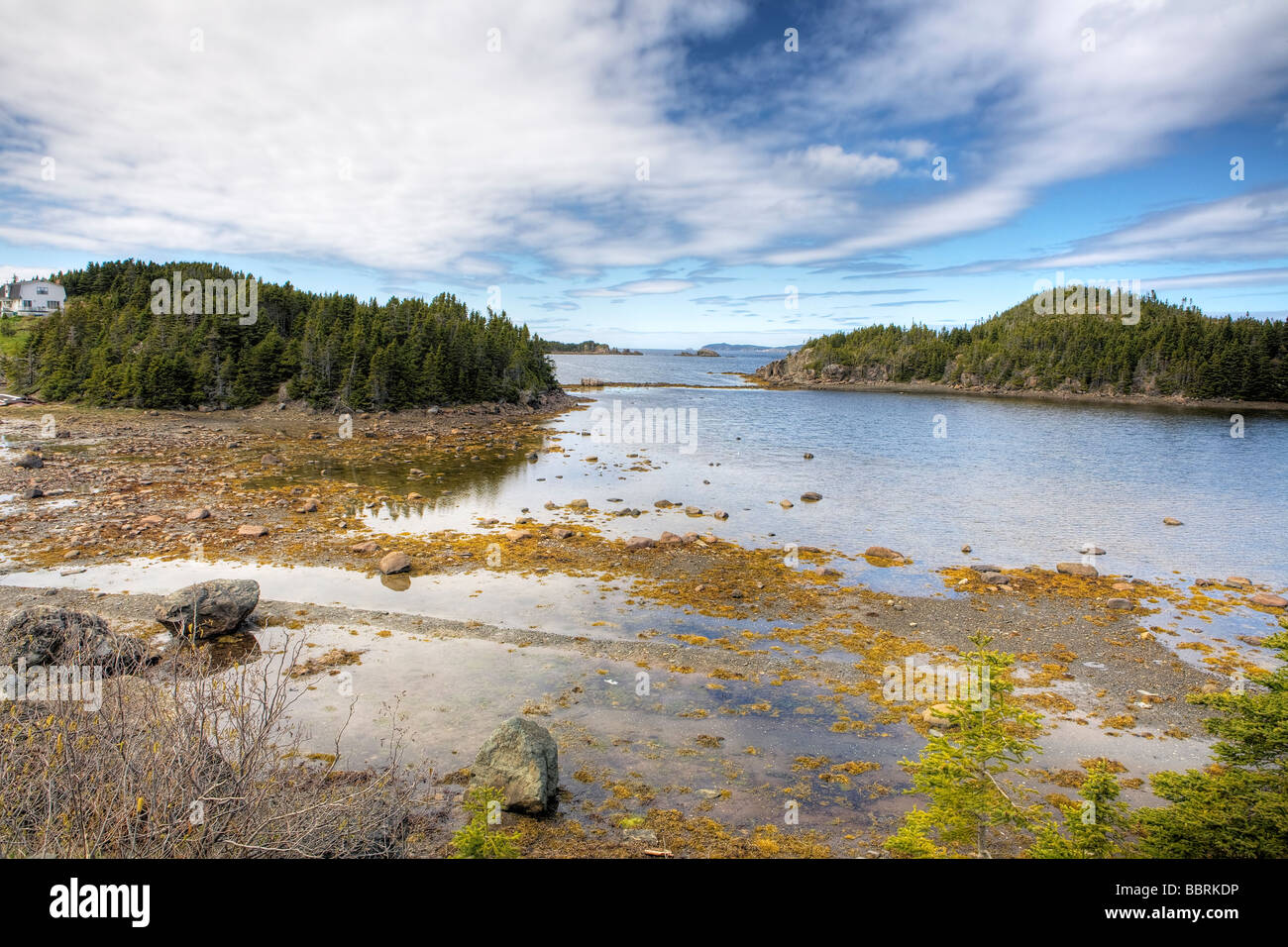Gander newfoundland hires stock photography and images Alamy