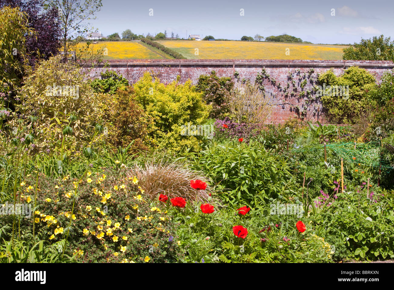 Winsford Walled garden a restored Victorian walled garden in Devon UK