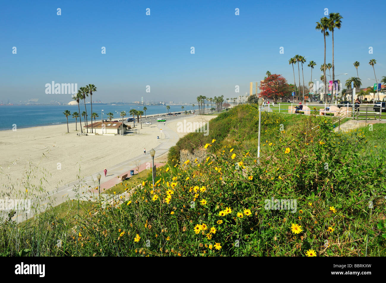 Junipero Beach A Haven for Beachgoers in Long Beach
