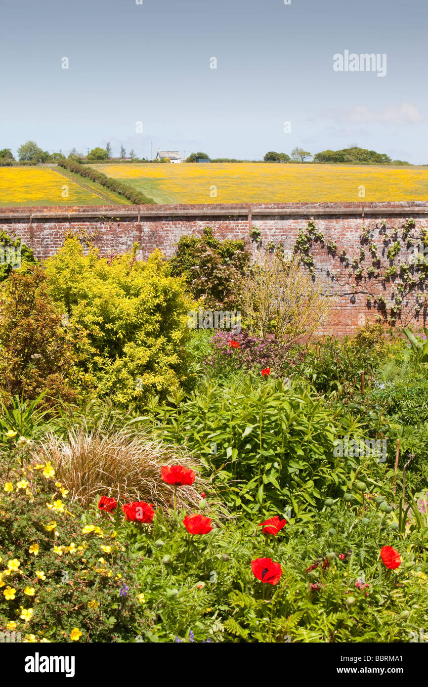 Winsford Walled garden a restored Victorian walled garden in Devon UK