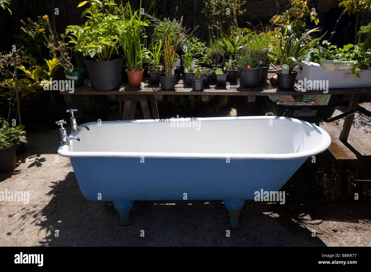 White cast iron bath tub sitting in the middle of a garden centre display Stock Photo