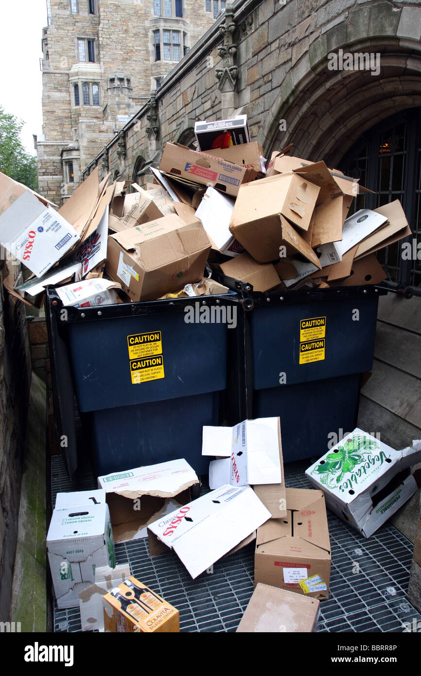 Cardboard in recycling dumpsters at a University in the USA Stock Photo