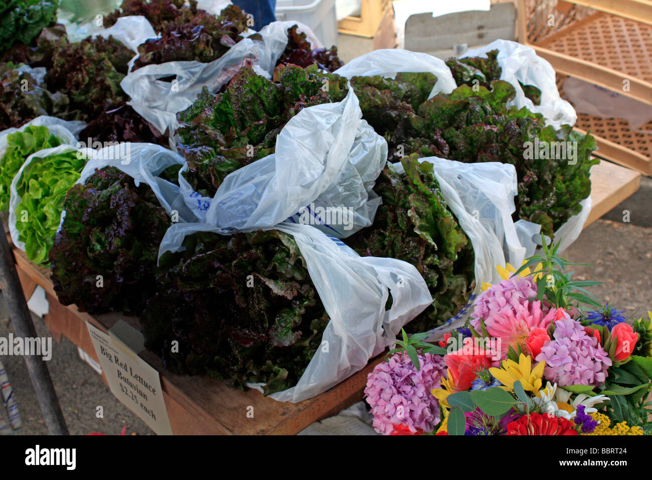 lettuce on display for sale at local farmers market Stock Photo Alamy