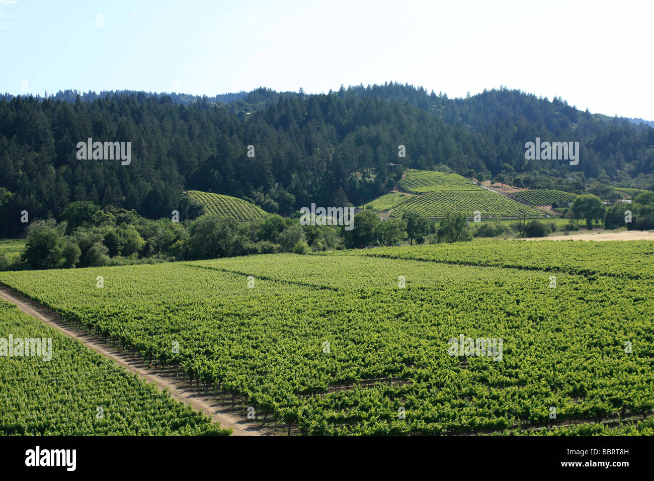 Healdsburg hires stock photography and images Alamy