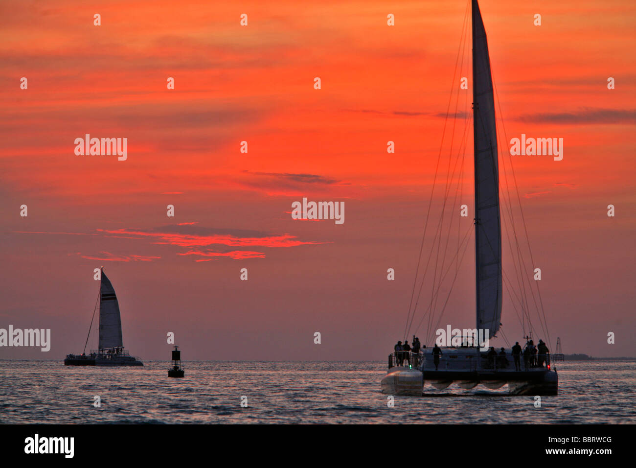 BACKLIT CATAMARANS AND SAILBOATS AT SUNSET, KEY WEST, FLORIDA, USA