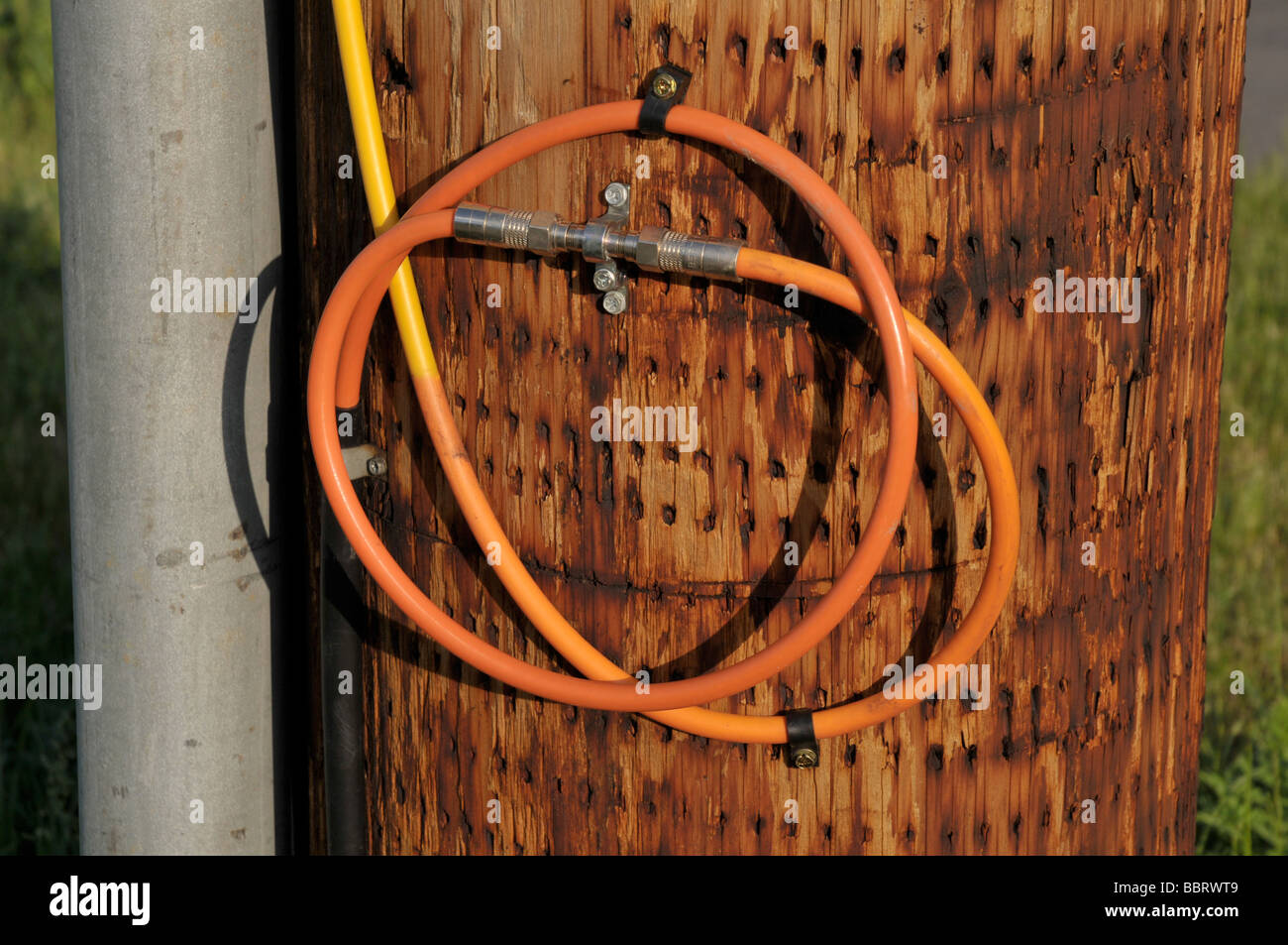 Cable TV connection on utility pole Stock Photo - Alamy