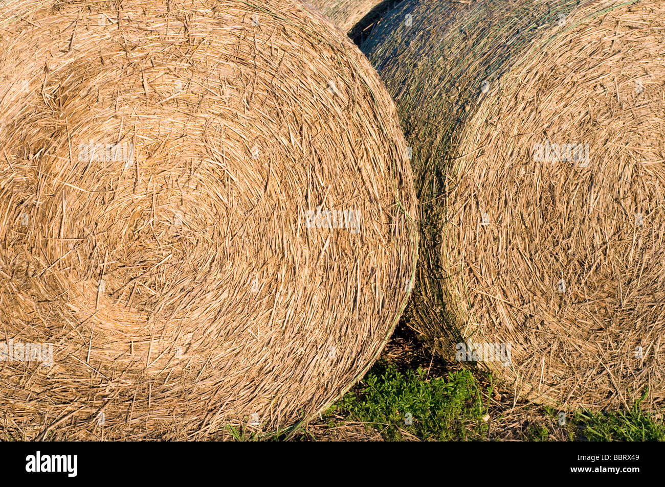 Isle of wight newport iow i hires stock photography and images Alamy