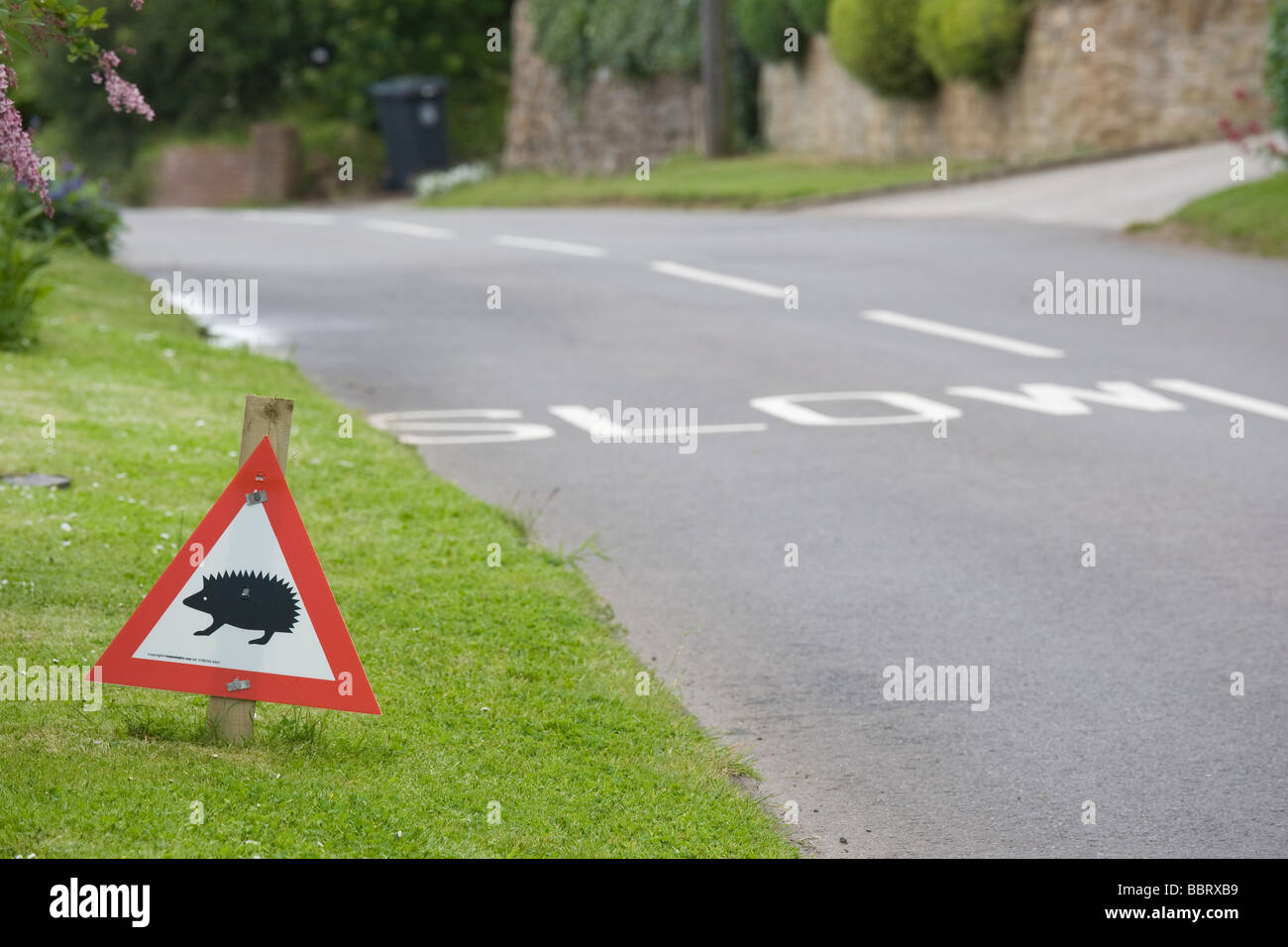 Roadside warning sign hedgehogs Stock Photo Alamy