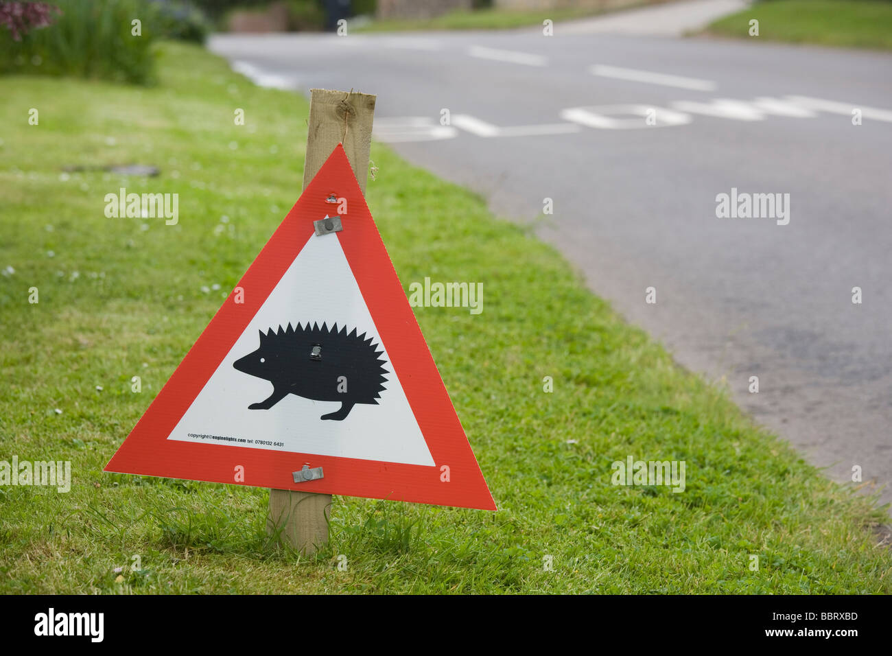 Slow hedgehogs sign hires stock photography and images Alamy