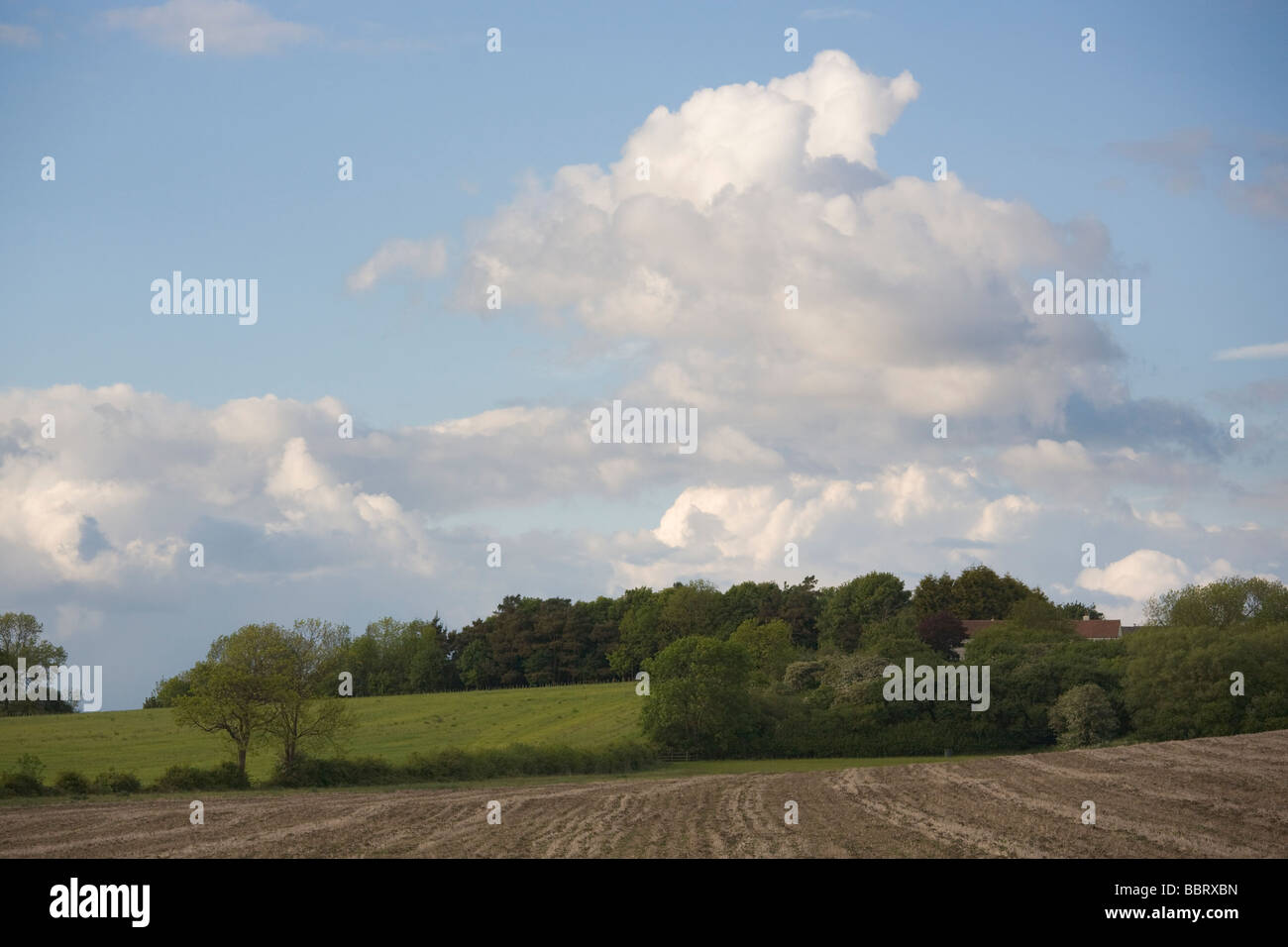 English summer sky with interesting clouds Stock Photo