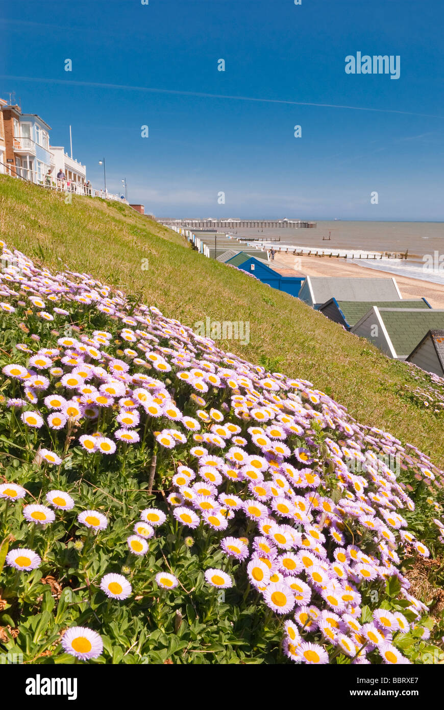 A view of Southwold seafront at the seaside with the pier in the background and flowers in the foreground in spring in the Uk Stock Photo