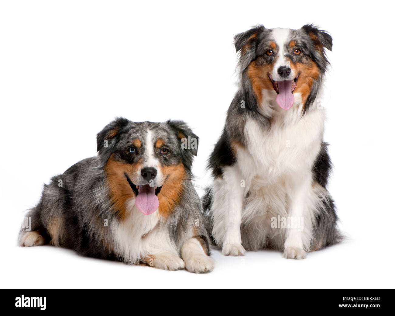 Two police facing camera Cut Out Stock Images & Pictures - Alamy
