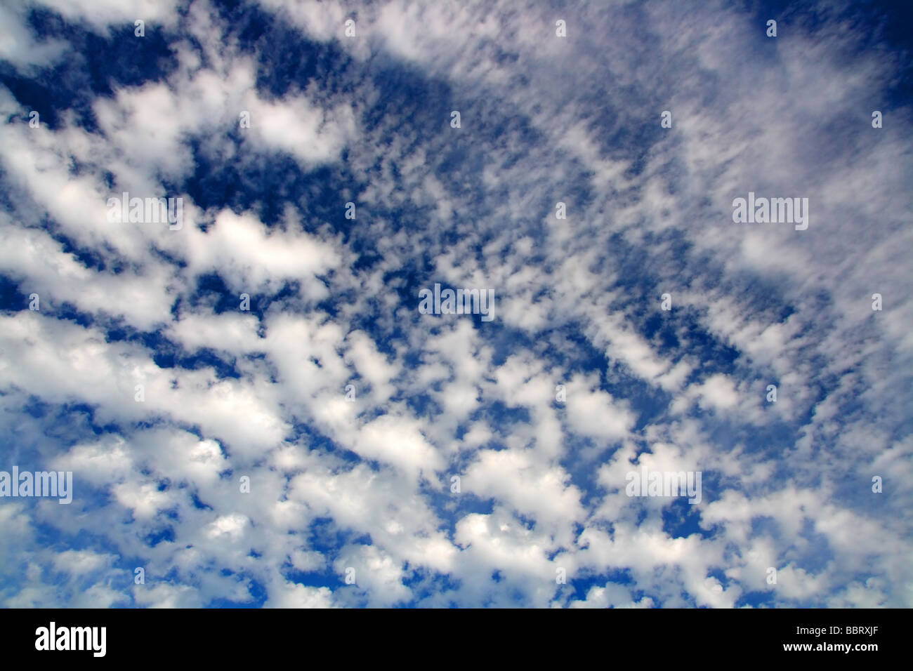 blue sky with fleecy clouds background Stock Photo