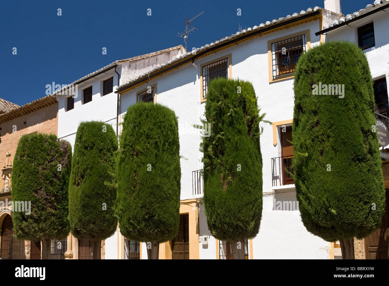 The tree lined Plaza Duquesa de Parcent, La Ciudad, Ronda, Province of Malaga, Andalusia, Spain. Stock Photo