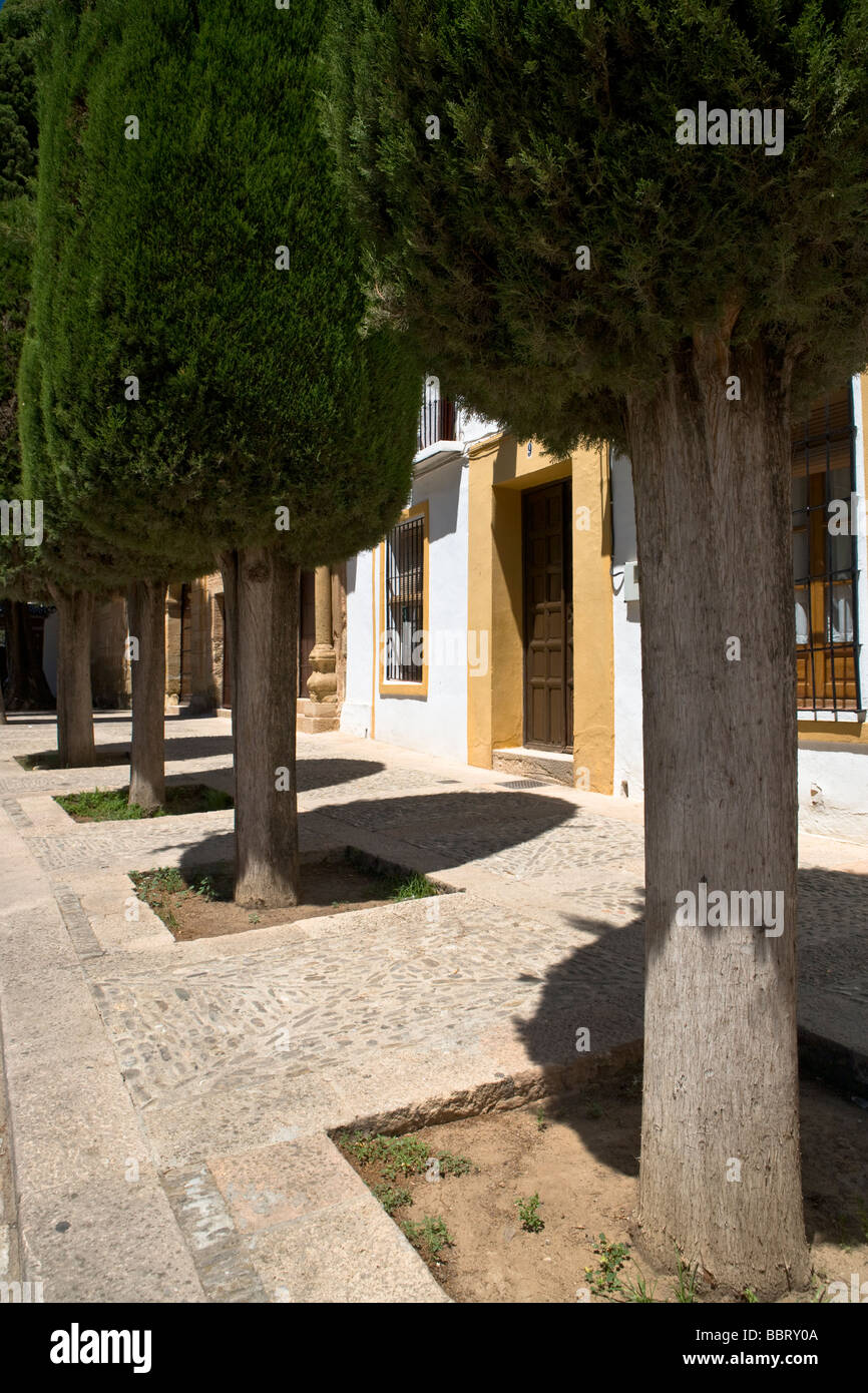 The tree lined Plaza Duquesa de Parcent in the La Ciudad old town of Ronda in the Province of Malaga, Andalusia, Spain. Stock Photo