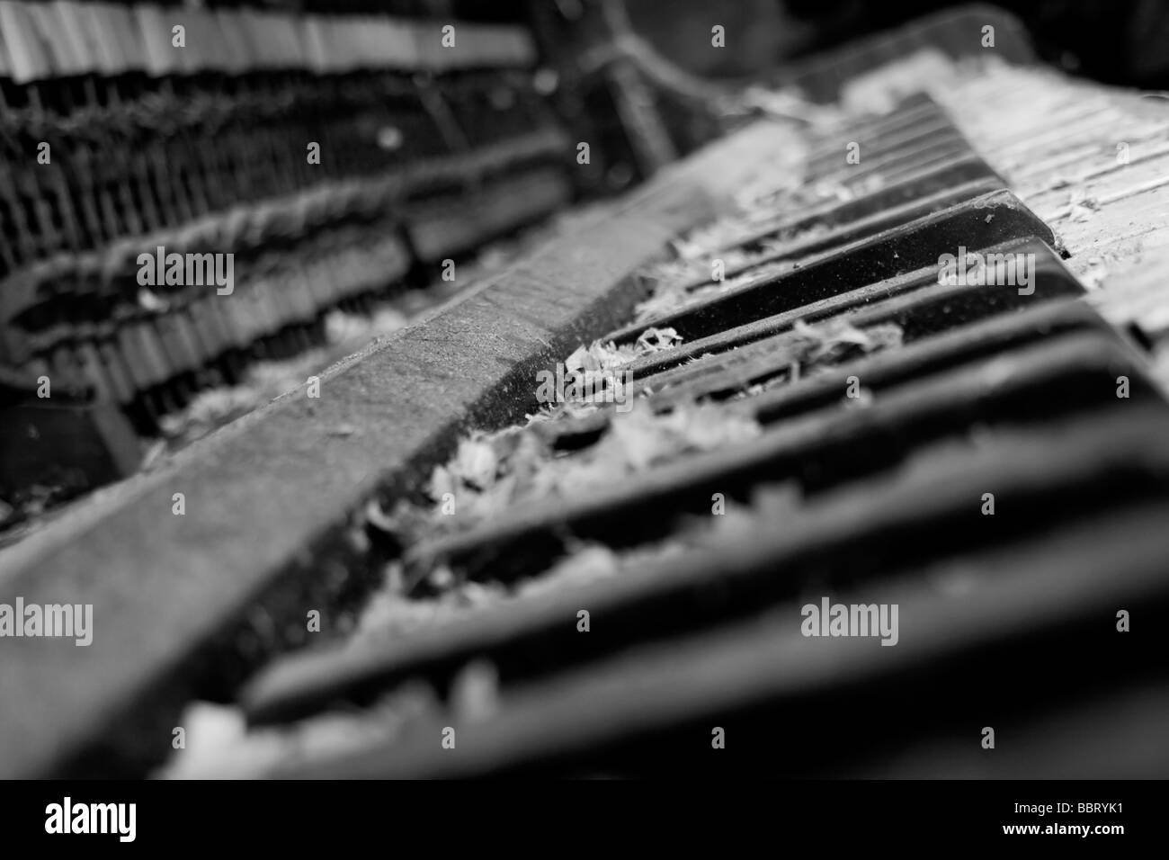 Close up of an old piano's keys and hammers Stock Photo