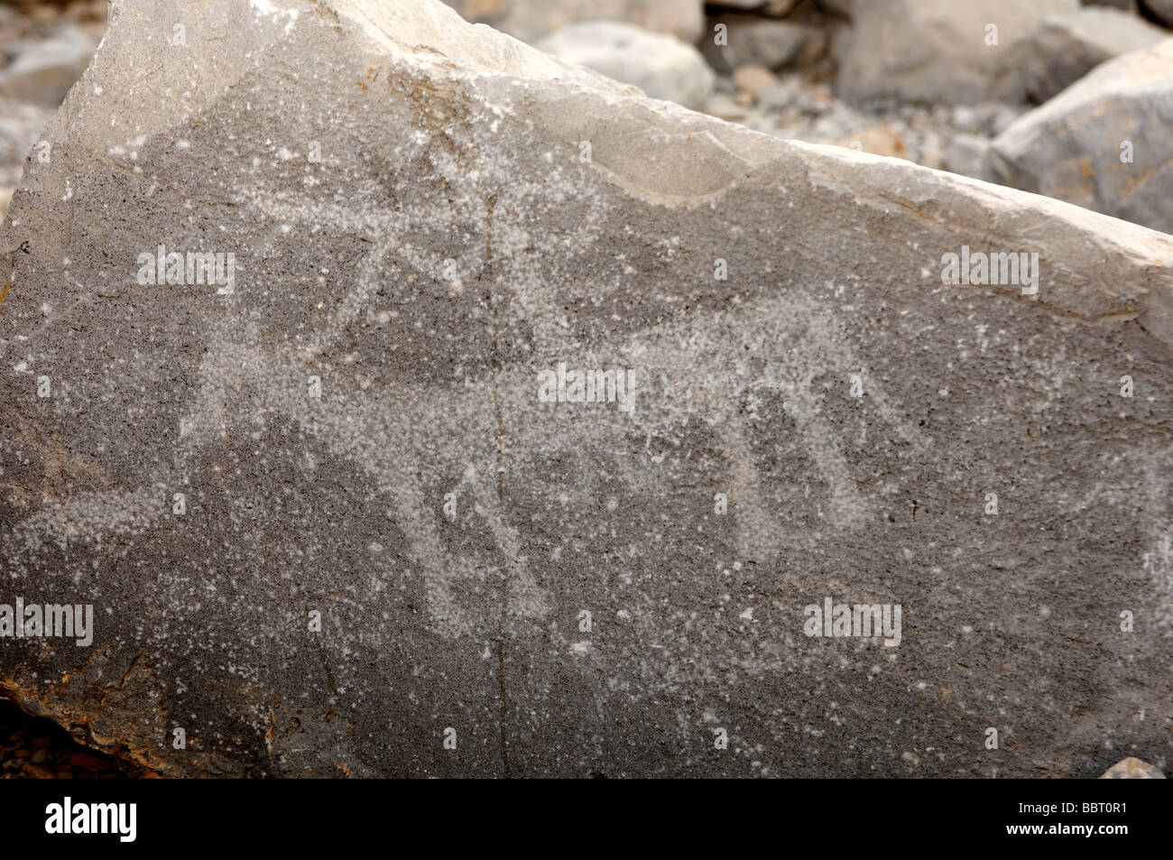 Prehistorical rock carvings with  designs of animals, petroglyphs, Tawi Musandam, Sultanate of Oman Stock Photo