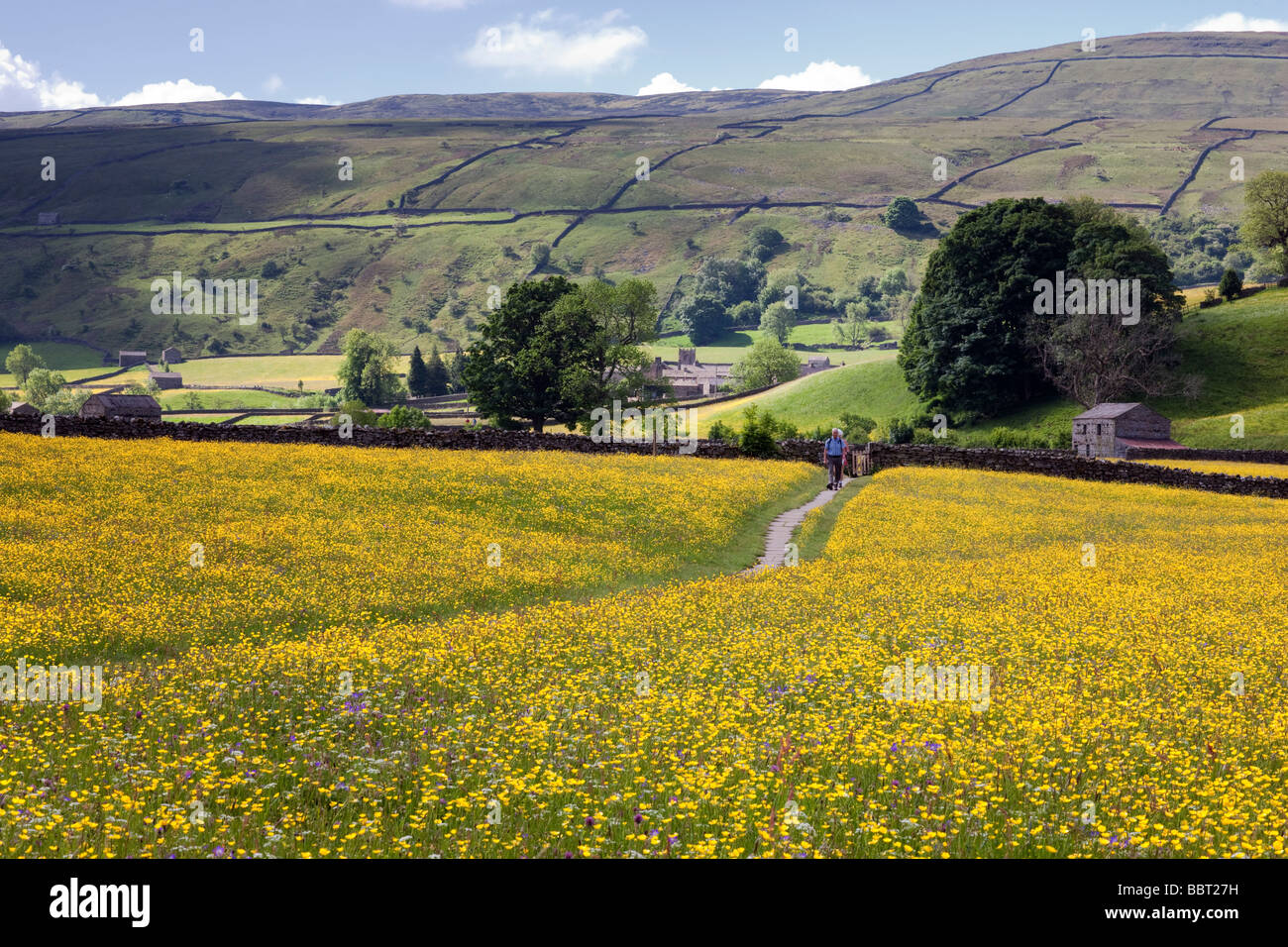 Walking through the flower filled hay meadows from the village of Muker, Swaledale, North Yorkshire Stock Photo