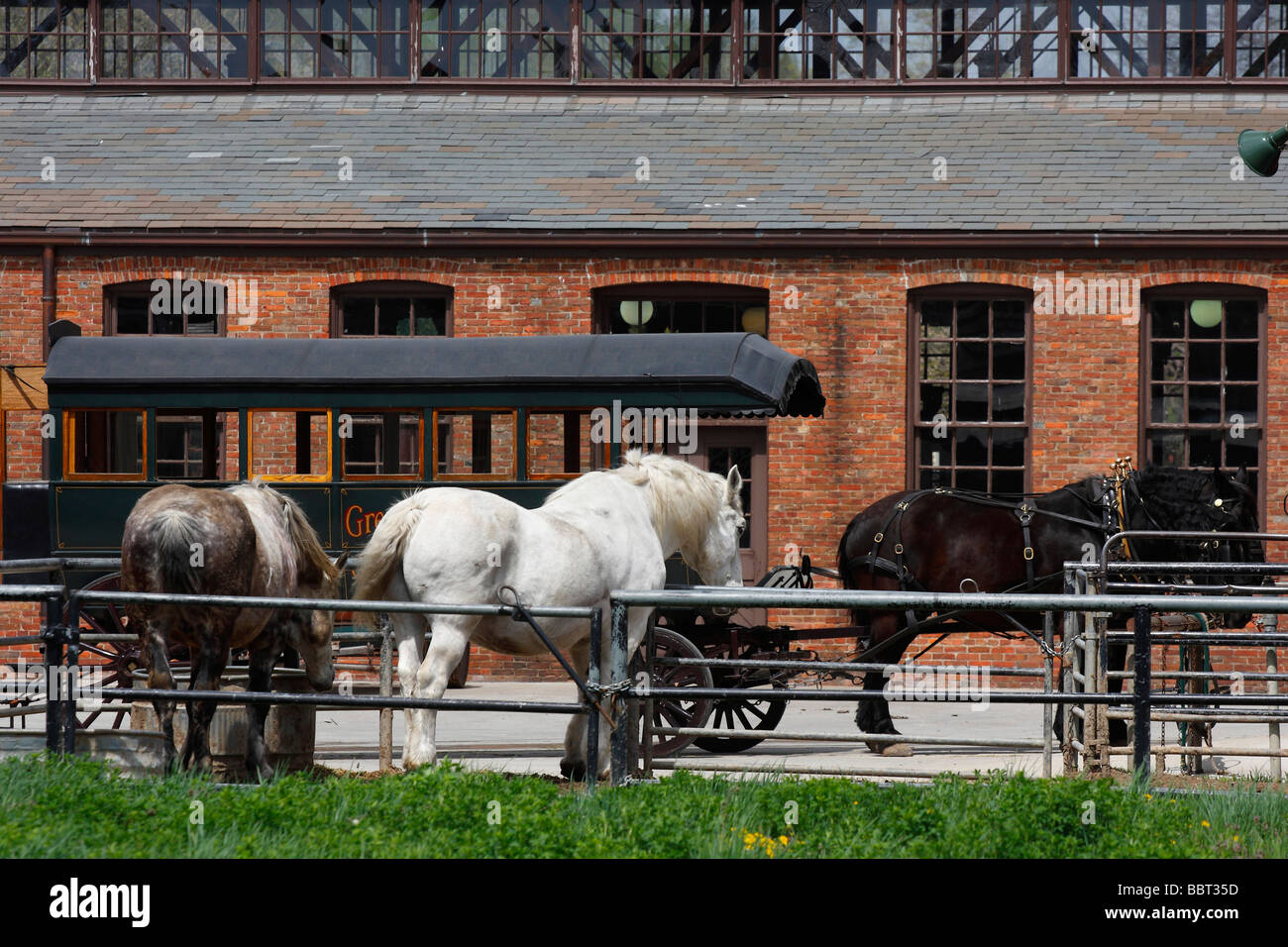 Horses Greenfield Village in Michigan in USA historical farming nobody from above hi-res Stock Photo