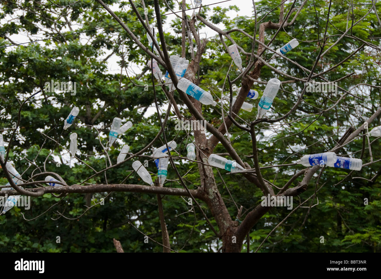 Plastic bottle piled on tree, save earth message displayed in a rural village in India Stock Photo