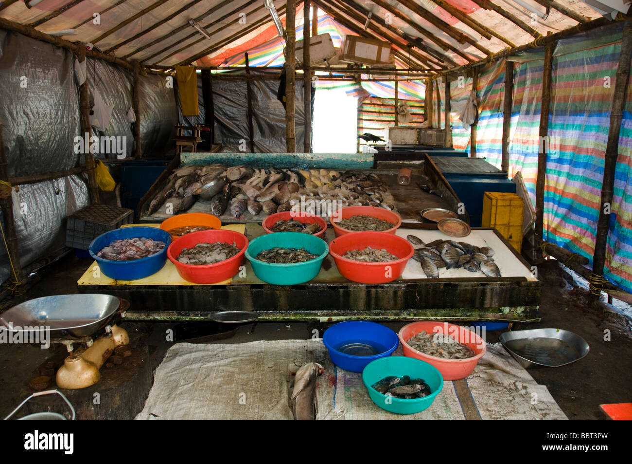 Fish market cochin india Stock Photo - Alamy