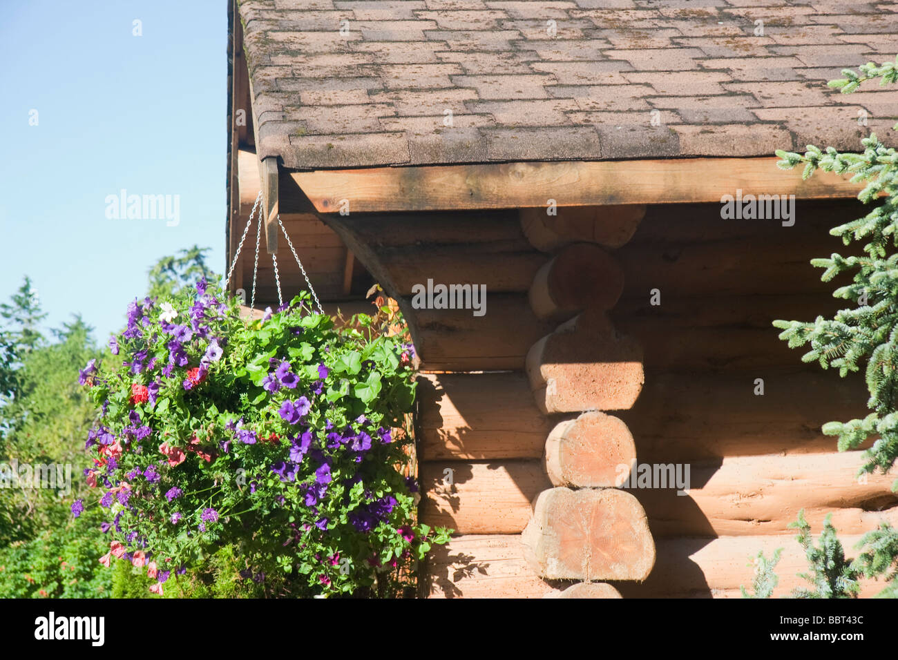Log Cabin With Hanging Basket Vancouver Island British Columbia