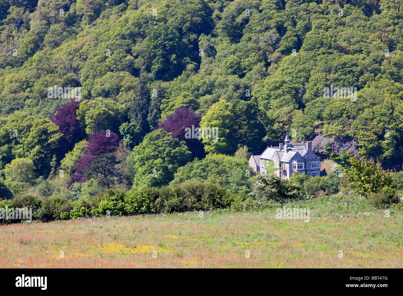 A house above Lee Bay on the north Devon coast near UK Stock