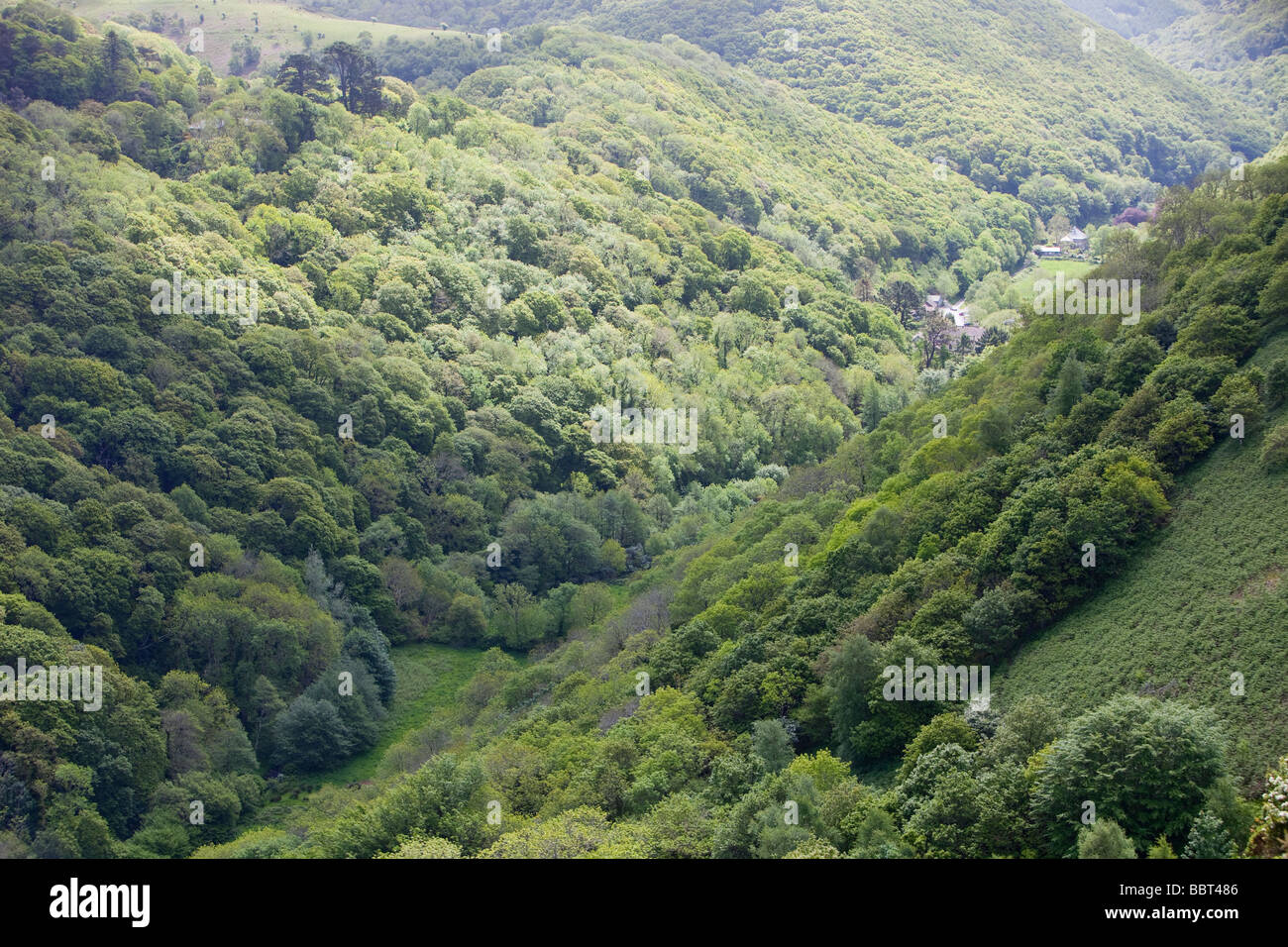 A wooded valley between Heddons mouth and Hunters Inn on the north