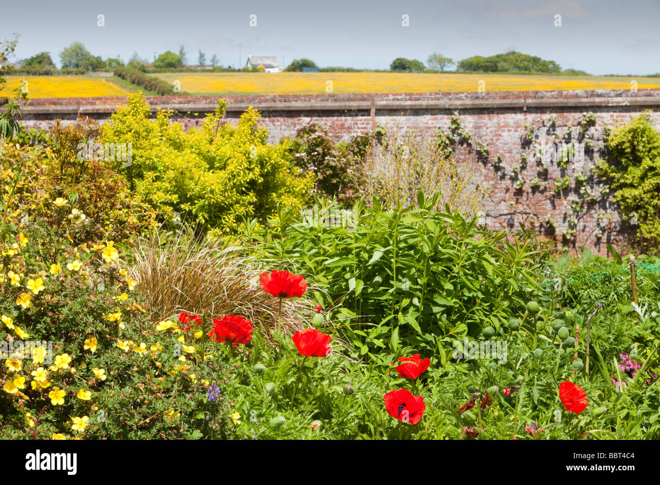 Winsford Walled garden a restored Victorian walled garden in Devon UK