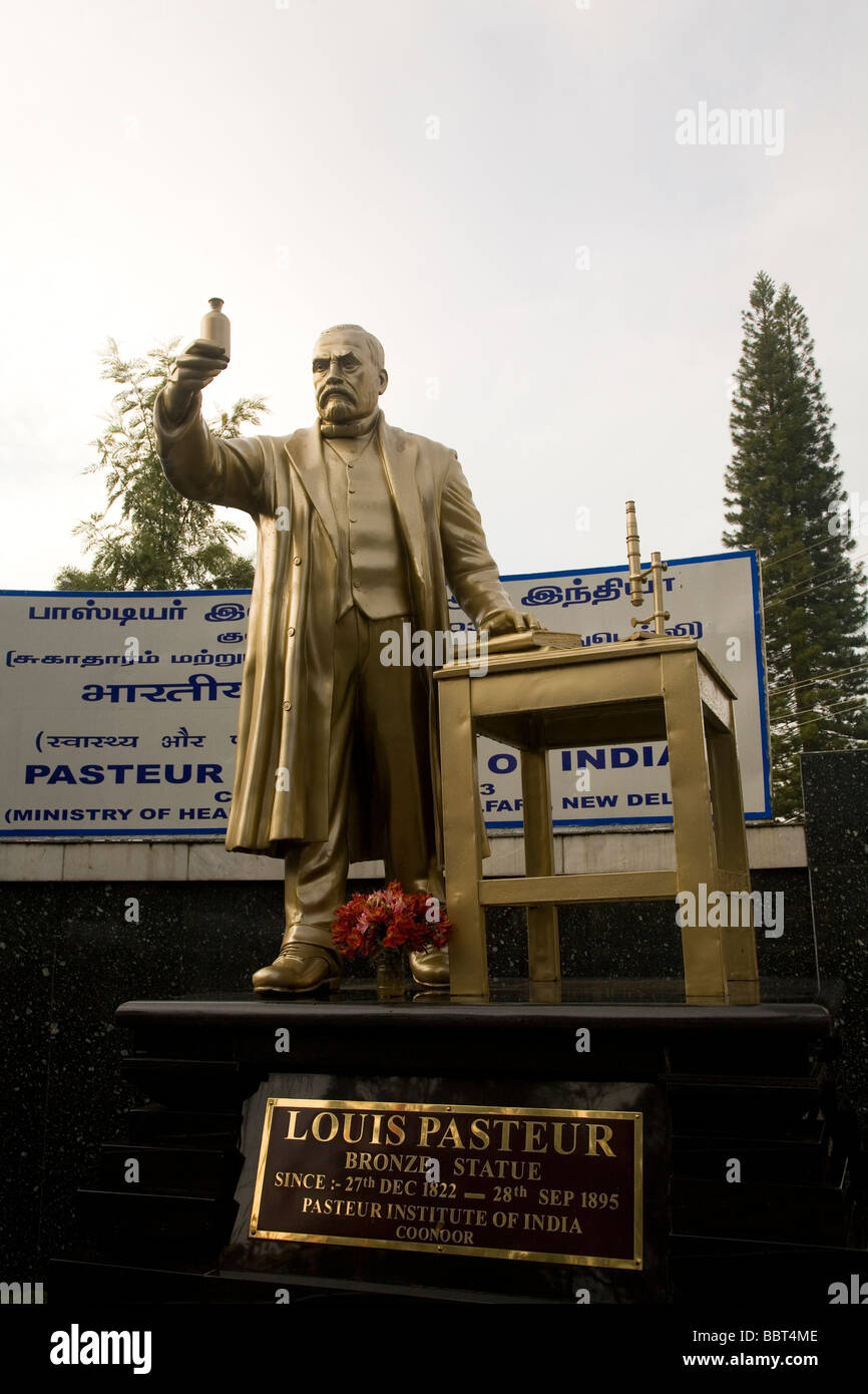 The statue of Louis Pasteur at the Pasteur Institute of India in Coonoor. Pasteur (1822-1895) discovered Pasteurization. Stock Photo