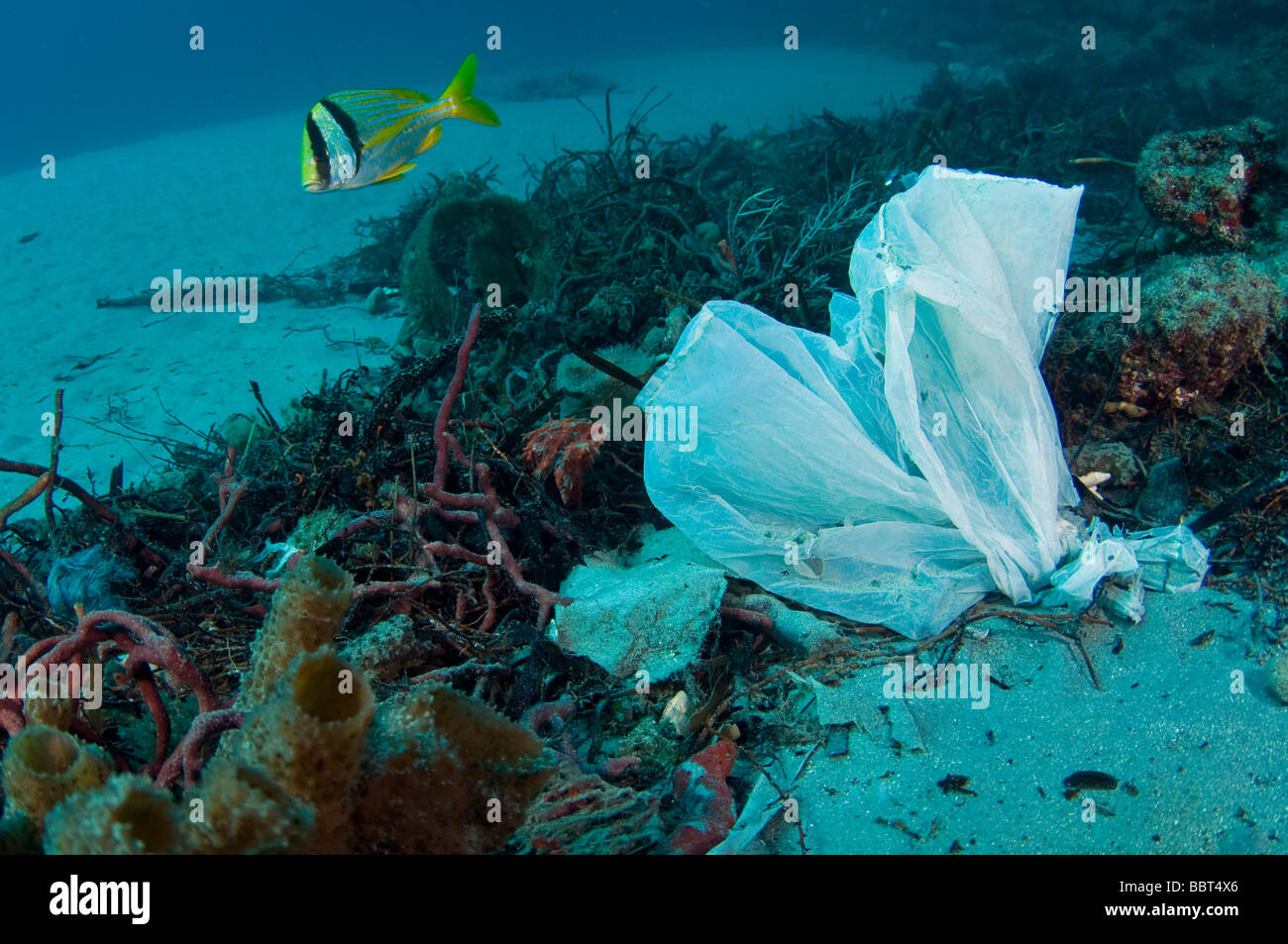 Man made reefs hi res stock photography and images alamy