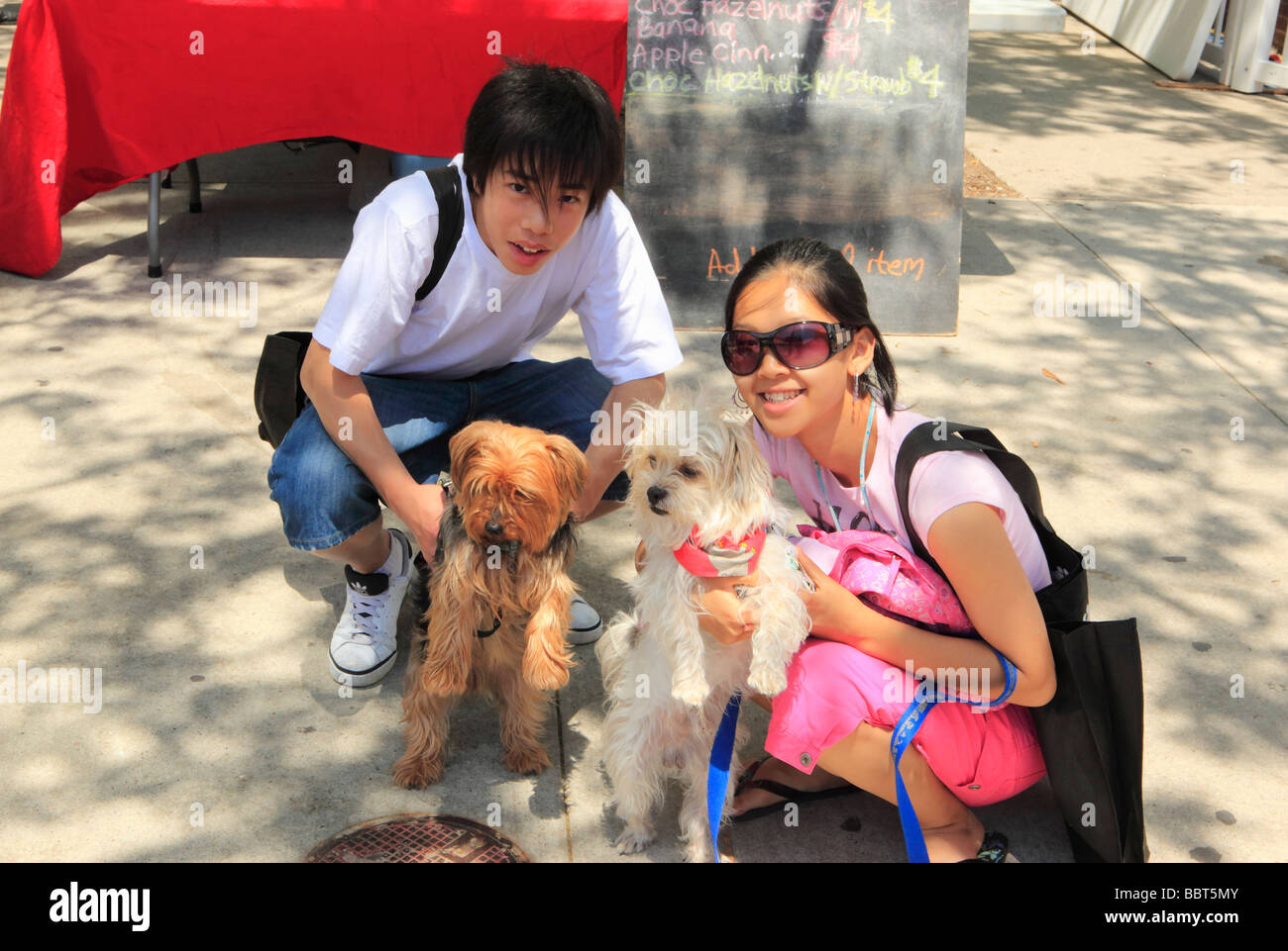 Annual Dog Festival St Lawrence Market Area Toronto Ontario Canada Stock Photo