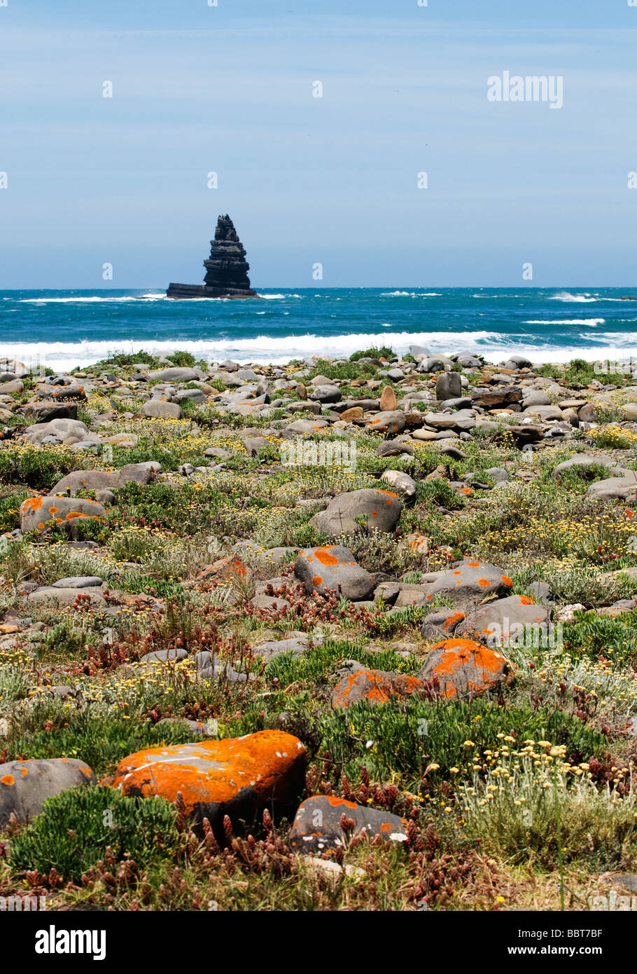 The landmark Ponta da Agulha (Needle Rock) rock formation near Arrifana, off Portugal's western Algarve coastline Stock Photo